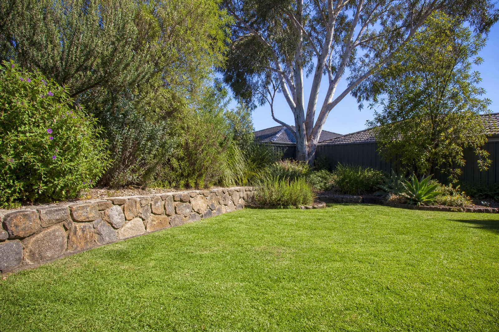 Lush lawn and native garden beds in Sandringham